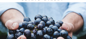 Mt. Boucherie Winery