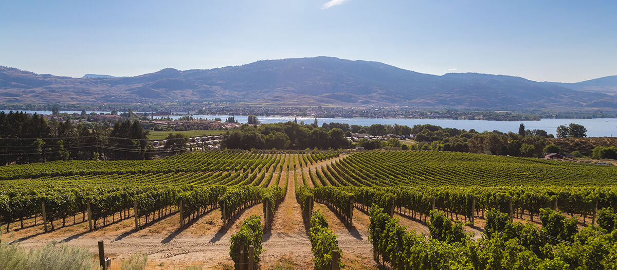 Kelowna wineries