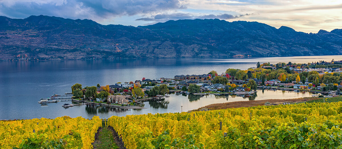 Comfort-Suites-Kelowna-Wine-Tour-1200pxW.jpg