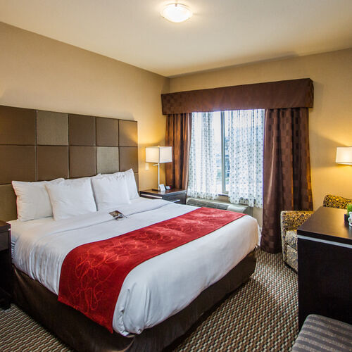 Comfort Suites Kelowna Pet Friendly Junior Suite
