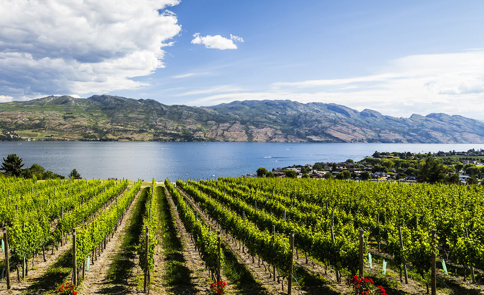 West Kelowna wine country