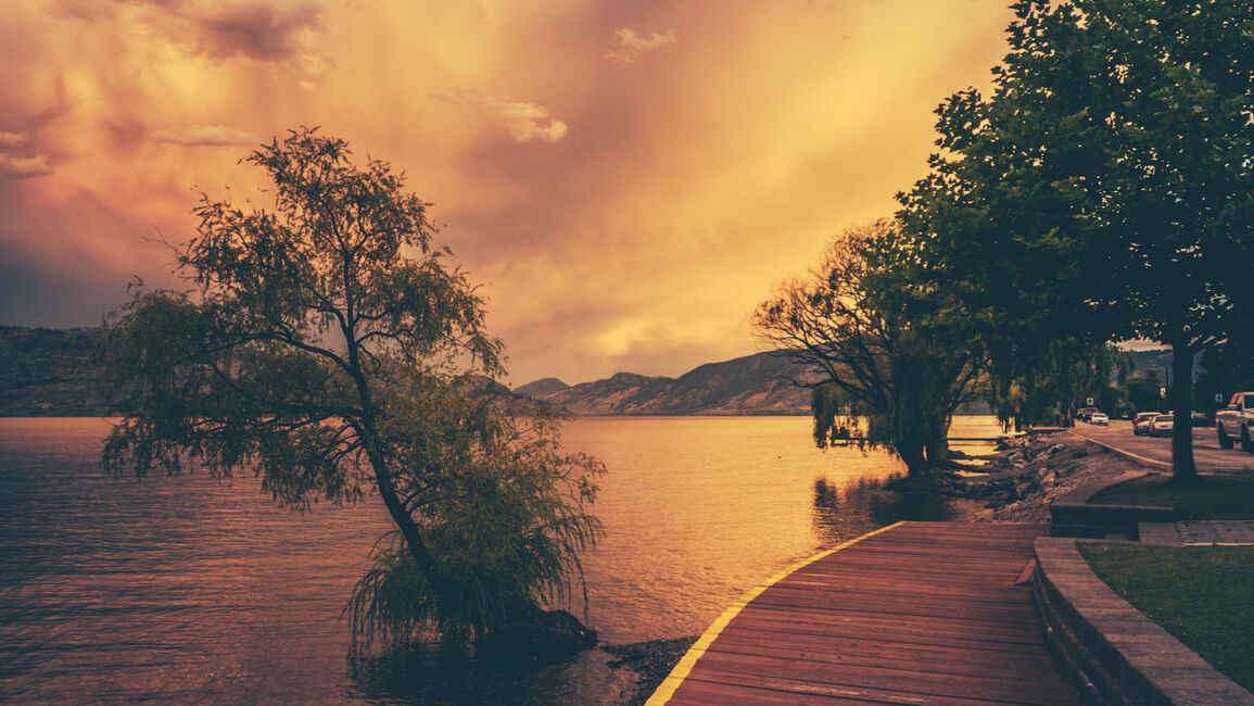 In Kelowna on Foot: Ways to Explore the Okanagan from Your Hotel in Kelowna