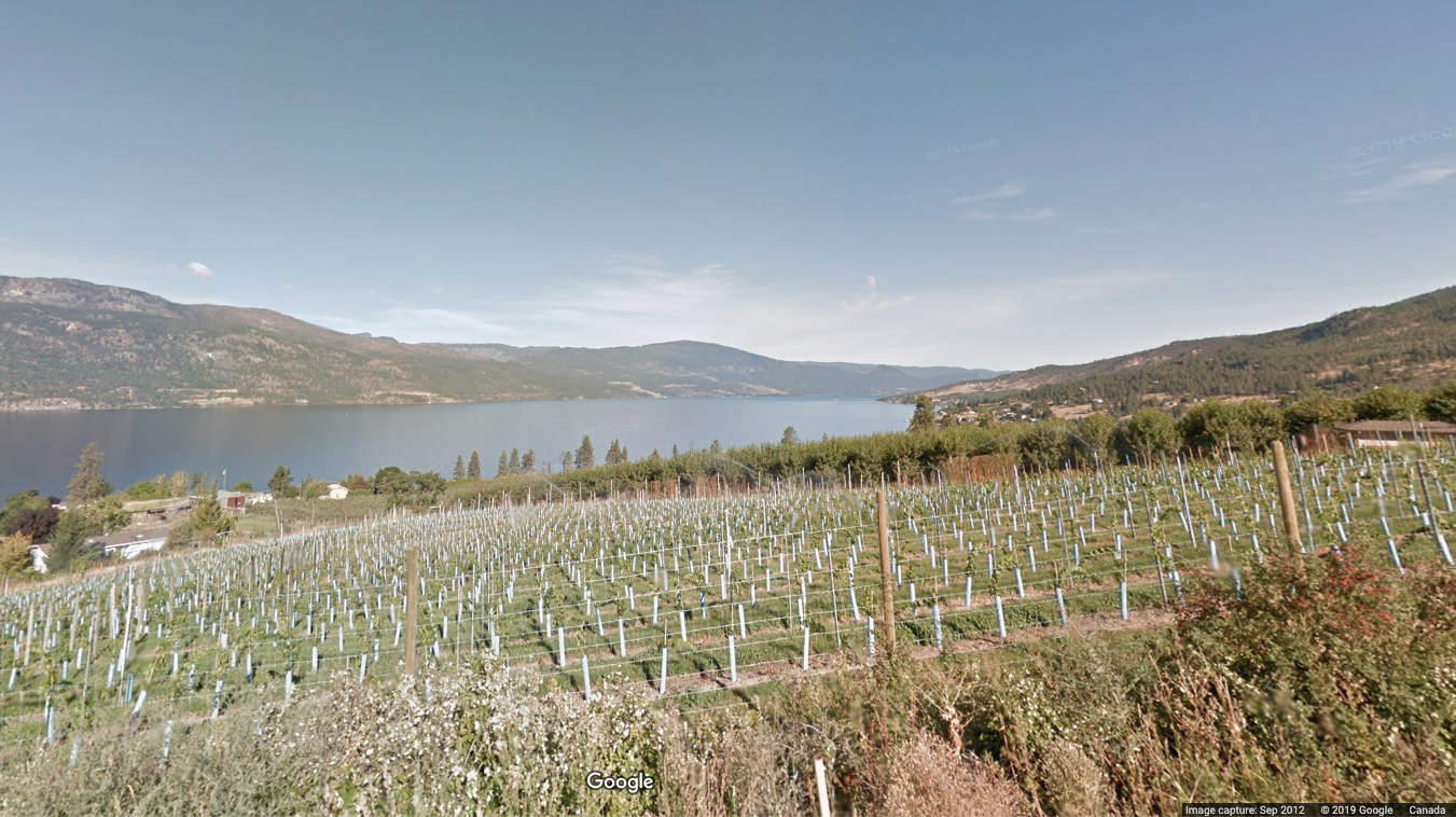 Gray Monk Winery