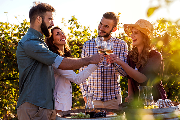 Okanagan wine tours