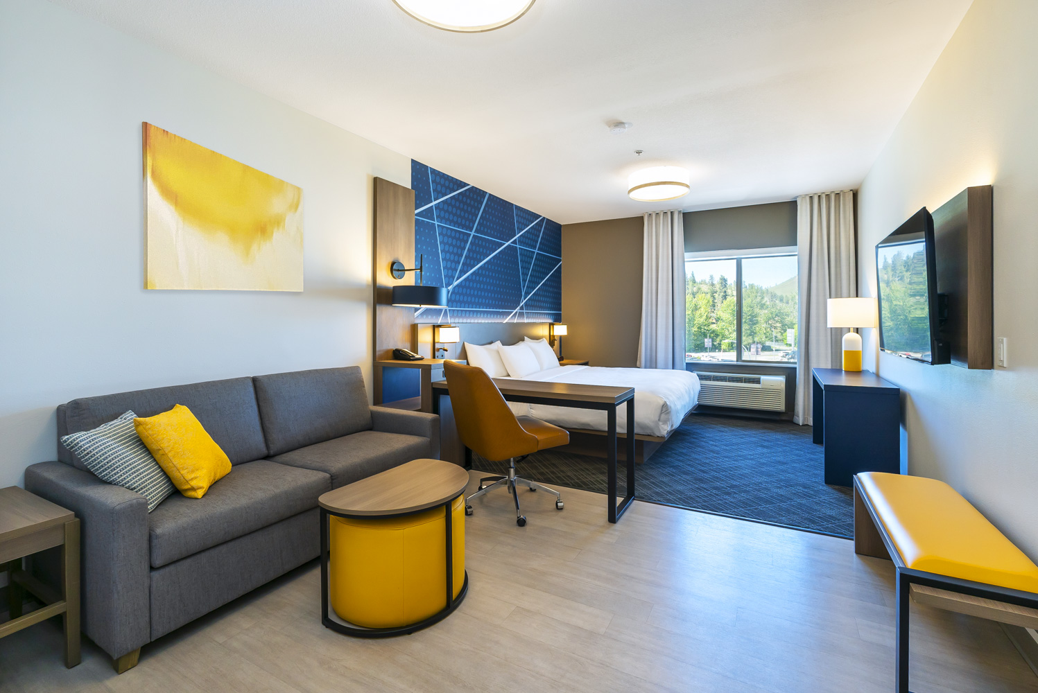 Kelowna's Pet-Friendly Hotel: Comfort Suites Kelowna
