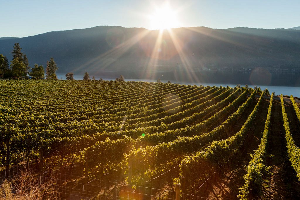 Ex Nihilo winery (photo courtesy of Kelowna Tourism)