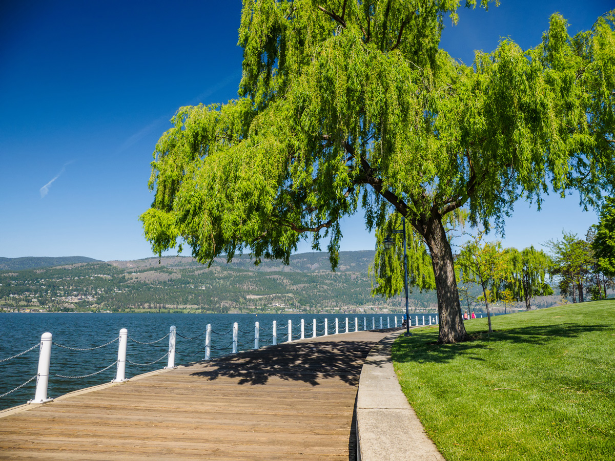 Located just a short drive away from Comfort Suites Kelowna hotel is the boardwalk at Waterfront Park.